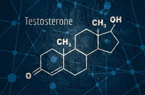 Como aumentar la testosterona
