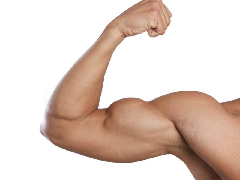 ejercicios biceps